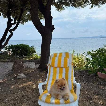 Villa Waterfront Between Cannes And St-tropez *